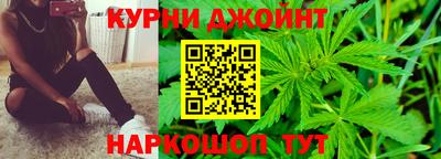 дмт Будённовск