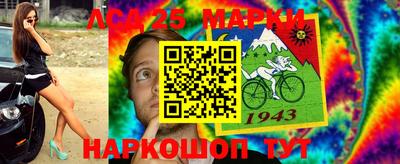 дмт Будённовск