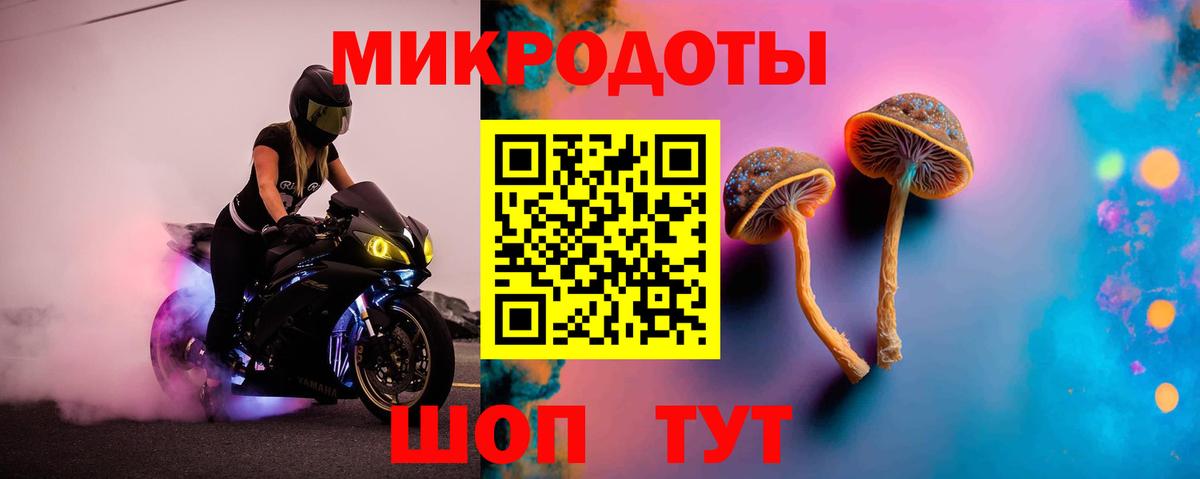 Псилоцибиновые грибы Cubensis  Вход с VPN  Североуральск 